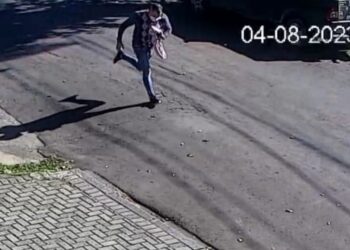 Criminoso droga cachorro e leva jóias de residência em Curitiba, veja o vídeo