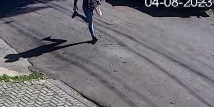 Criminoso droga cachorro e leva jóias de residência em Curitiba, veja o vídeo