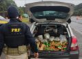 PRF apreende mais de 2 toneladas de drogas no Paraná