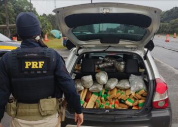 PRF apreende mais de 2 toneladas de drogas no Paraná