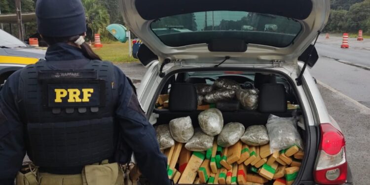 PRF apreende mais de 2 toneladas de drogas no Paraná