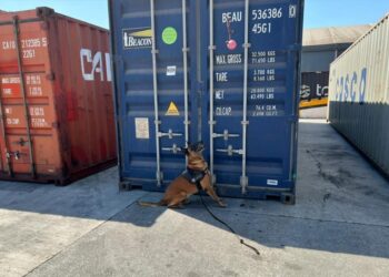 Receita Federal apreende 55 kg de cocaína no Porto de Paranaguá