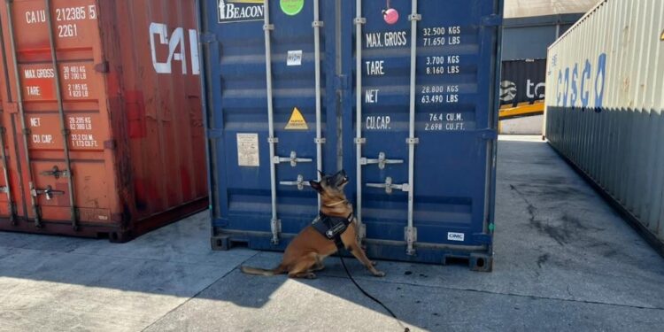 Receita Federal apreende 55 kg de cocaína no Porto de Paranaguá