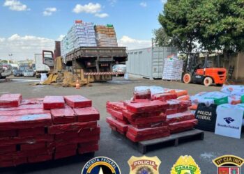 Receita Federal apreende caminhão carregado com quase 1 tonelada de maconha no Paraná