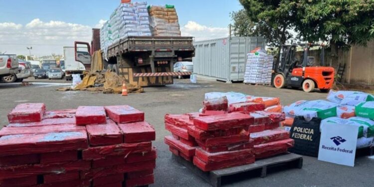 Receita Federal apreende caminhão carregado com quase 1 tonelada de maconha no Paraná
