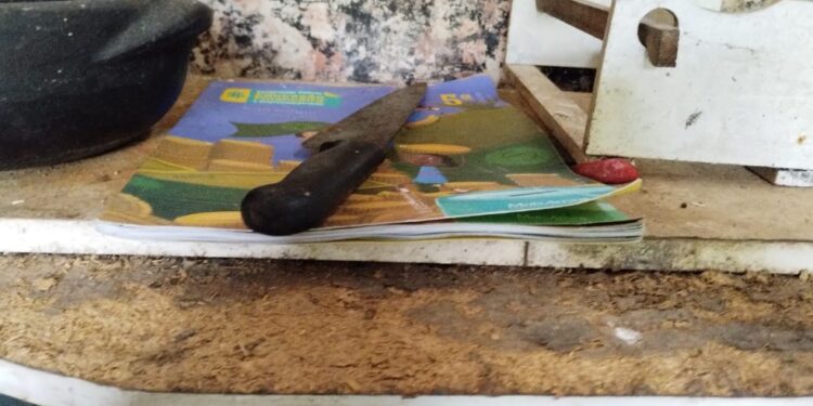 Durante apuração de denúncia, Polícia Civil de Colombo prende mulher em flagrante por abandono de incapaz