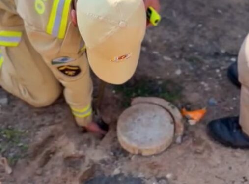 Bombeiros salvam filhotes que caíram na rede de esgoto, no Paraná; Veja o vídeo