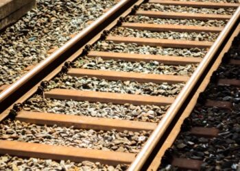 Policiais salvam cachorra encontrada amarrada próxima de linha férrea, no Paraná