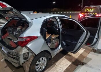 PRF apreende mais de 800 quilos de maconha no Paraná