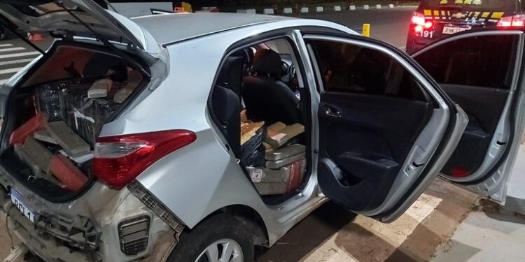 PRF apreende mais de 800 quilos de maconha no Paraná