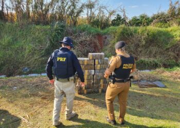 PRF e PM apreendem quase meia tonelada de maconha no Paraná