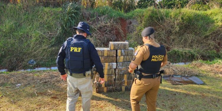 PRF e PM apreendem quase meia tonelada de maconha no Paraná