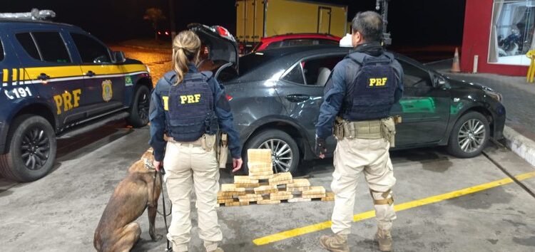 PRF apreende carga milionária de cocaína em fundo falso de veículo em São José dos Pinhais