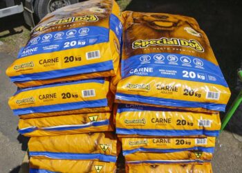 Você pode ajudar os animais resgatados de Curitiba; Banco de Ração aceita doações