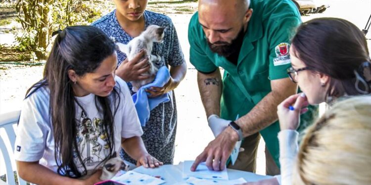 Últimos dias da ação clínica gratuita e vacinação de cães e gatos na Regional Santa Felicidade