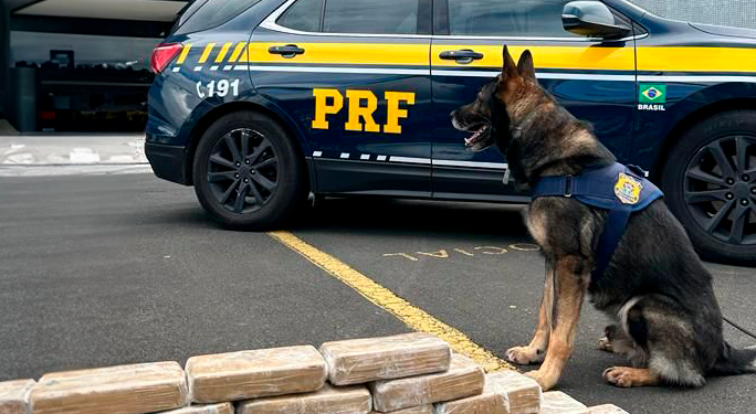 Em 8 meses e meio, PRF já apreendeu mais drogas do que em todo 2022 no Paraná