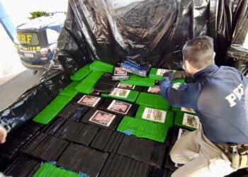 PRF apreende, em fundo falso de carreta, 1 tonelada de maconha no Paraná