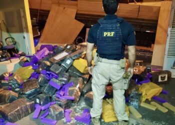 Carga de madeira mal acondicionada escondia mais de 5 toneladas de maconha no Paraná