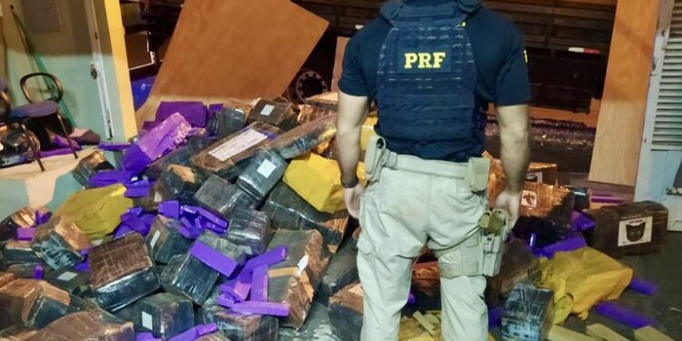 Carga de madeira mal acondicionada escondia mais de 5 toneladas de maconha no Paraná