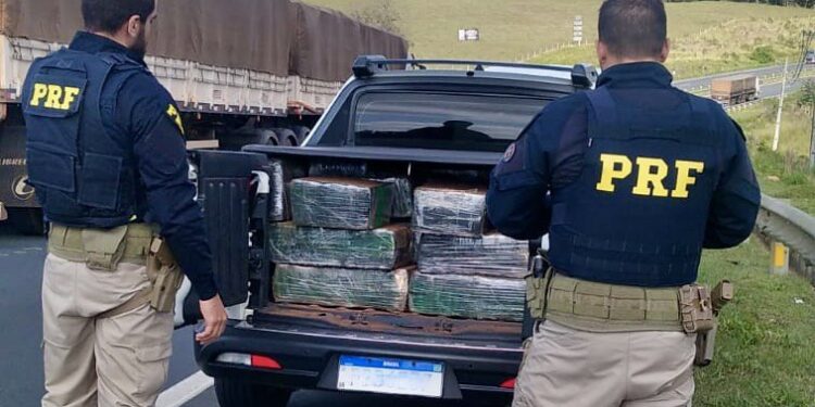 Mais de meia tonelada de maconha é apreendida pela PRF