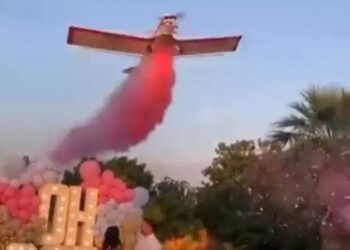 Piloto de avião morre durante chá revelação