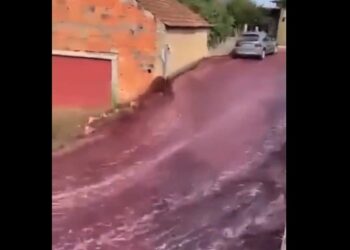 Ruas em Portugal viram “rio de vinho” após depósito estourar; Veja o vídeo