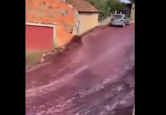 Ruas em Portugal viram “rio de vinho” após depósito estourar; Veja o vídeo