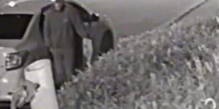 Criminosos em veículo Logan branco estão furtando carros em Curitiba, veja o vídeo como agem