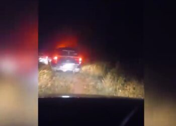 Guarda Municipal de Campo Largo apreende mais de meia tonelada de maconha após acompanhamento tático, veja o vídeo