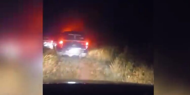 Guarda Municipal de Campo Largo apreende mais de meia tonelada de maconha após acompanhamento tático, veja o vídeo