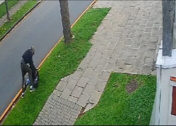 Vítima entra em luta corporal com bandido mas ele leva sua bolsa, em Curitiba