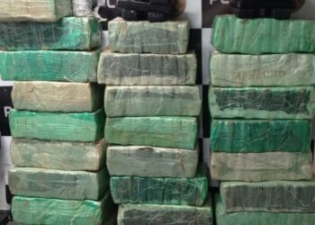 PRF e PF apreendem meia tonelada de maconha em carro roubado; traficante dirigia sob efeito de cocaína