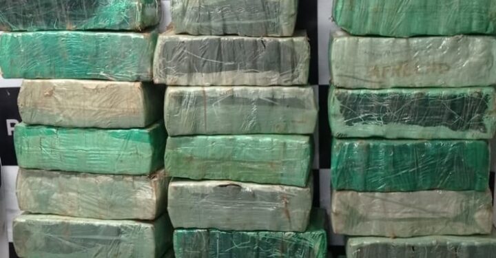 PRF e PF apreendem meia tonelada de maconha em carro roubado; traficante dirigia sob efeito de cocaína