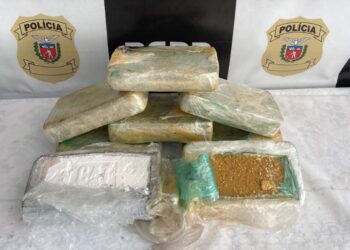 Polícia Civil realiza apreensão de drogas de drogas em carro transportado em cegonha na BR-116