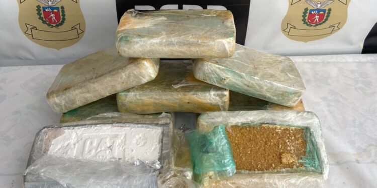 Polícia Civil realiza apreensão de drogas de drogas em carro transportado em cegonha na BR-116