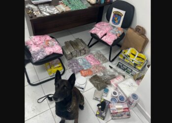 Cão de faro Hunter auxilia policiais a encontrar grande quantidade de drogas