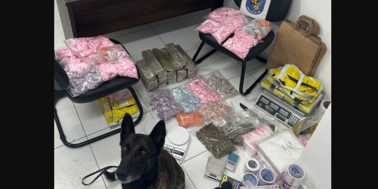 Cão de faro Hunter auxilia policiais a encontrar grande quantidade de drogas