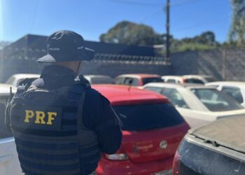 PRF realiza 7º Leilão Virtual de Veículos 2023 no Paraná