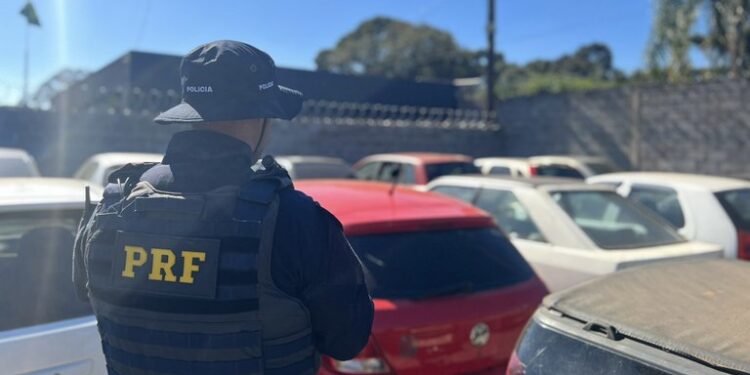 PRF realiza 7º Leilão Virtual de Veículos 2023 no Paraná