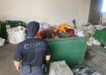 PCPR apreende 2,7 toneladas de cabos em operação contra receptação em Curitiba