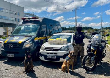 PRF apreende 40 quilos de cocaína dentro de painel de carro no Paraná