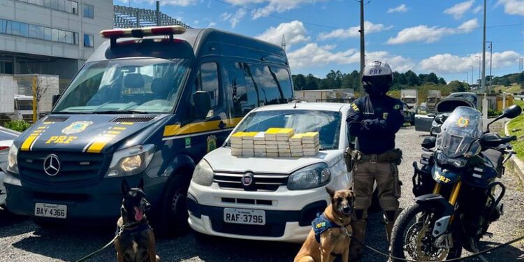 PRF apreende 40 quilos de cocaína dentro de painel de carro no Paraná