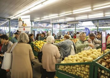 Sacolões da Família terão promoção de frutas e verduras nesta quarta-feira em Curitiba