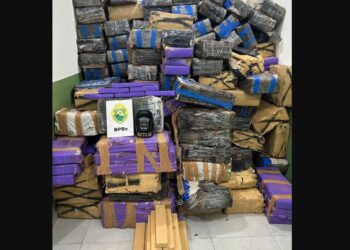 ROTAM apreende 3 toneladas de maconha no Paraná