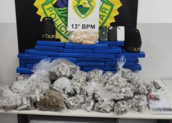 ROTAM apreende quase 80 quilos de drogas em Curitiba
