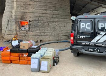 Polícia Civil incinera 600 quilos de drogas em Almirante Tamandaré