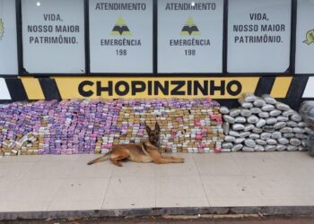 Batalhão de Polícia Rodoviária apreende 550 quilos de maconha e recupera veículo roubado