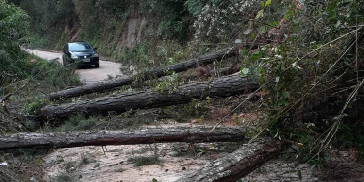 DER-PR divulga novos trechos de estradas afetados pelas chuvas