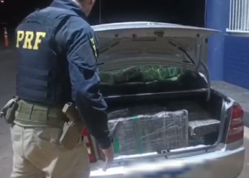 PRF apreende automóvel com quase 800 quilos de maconha