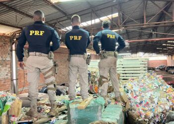 PRF aborda caminhão com lanterna queimada e encontra 2 toneladas de maconha